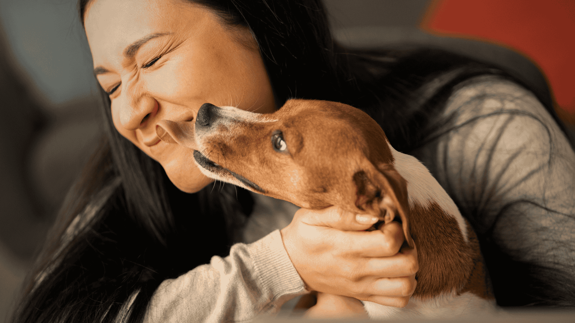 Pet lambendo o rosto de sua dona